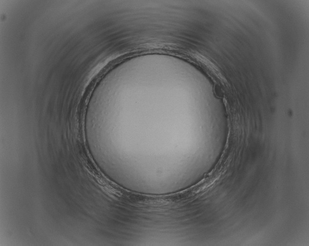 X0000072951023200608181401
