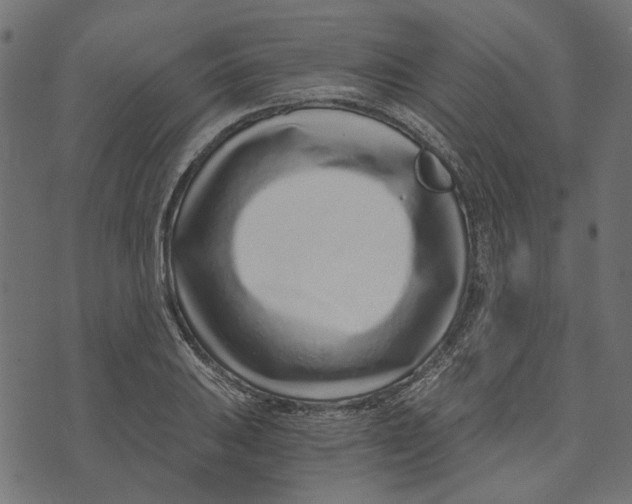 X0000072951031200608181401