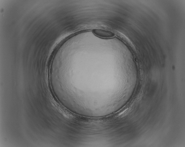 X0000072951035200608181401