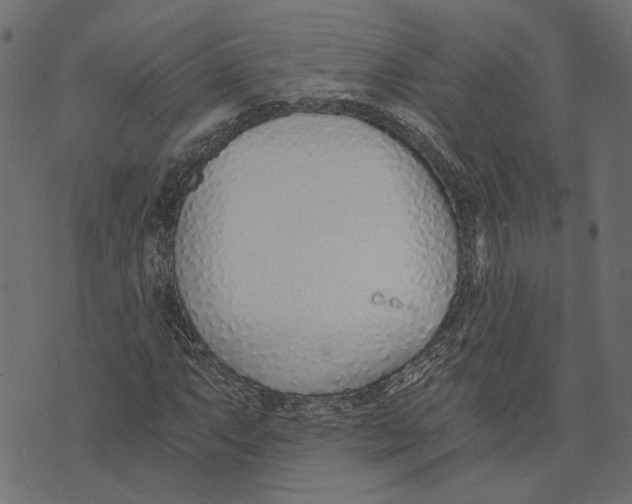 X0000072951063200608181400