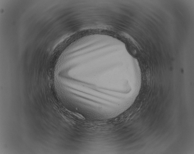 X0000072951064200608181400