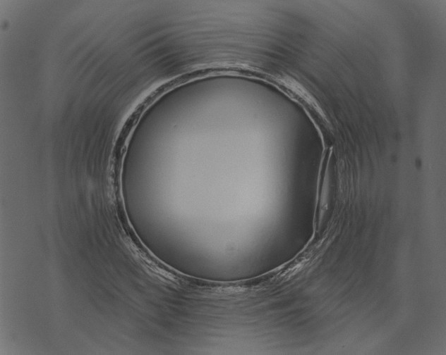X0000072951068200608181400