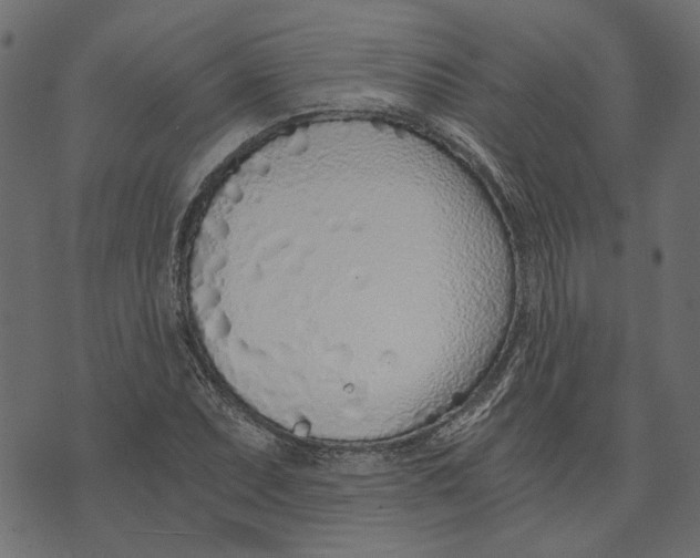 X0000072951071200608181400