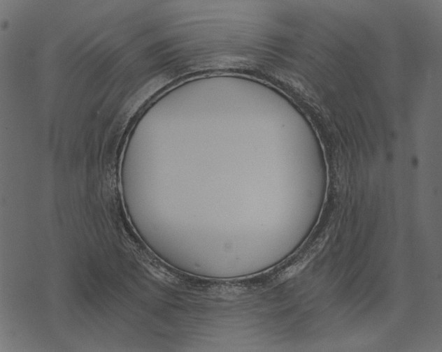 X0000072951073200608181400