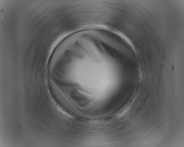 X0000072951102200608181400