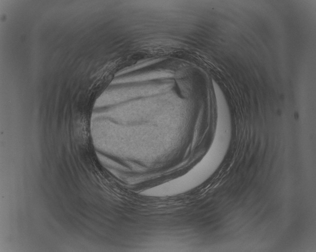 X0000072951108200608181359