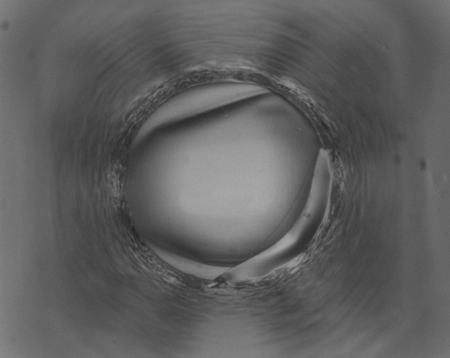 X0000072951110200608181359