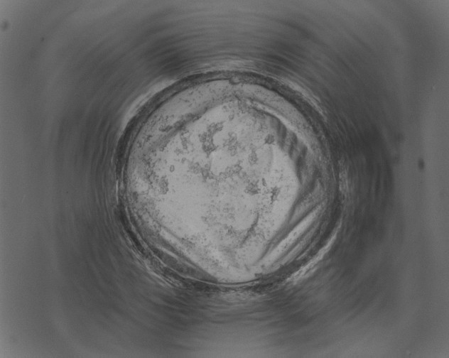 X0000072951117200608181359