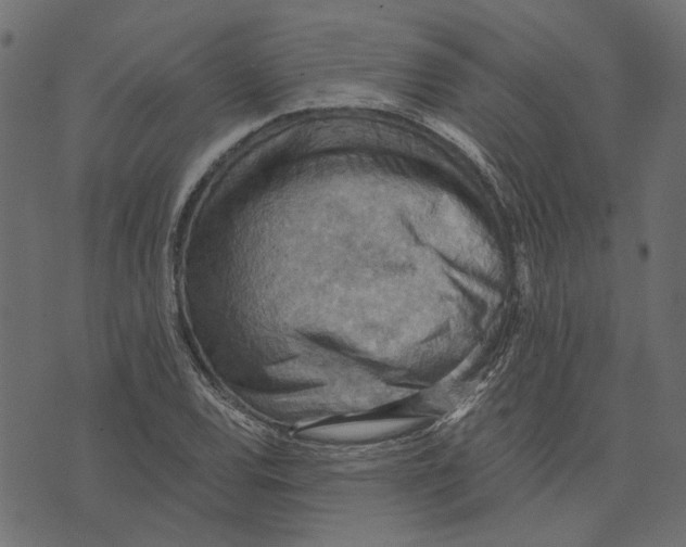 X0000072951120200608181359
