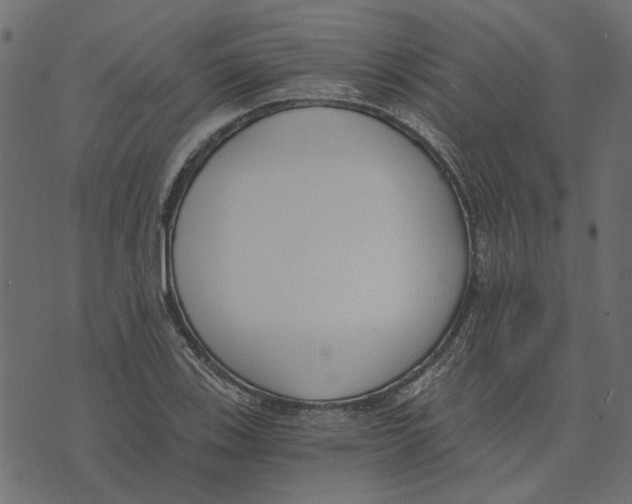 X0000072951123200608181359
