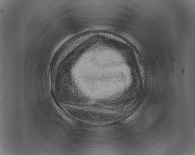 X0000072951127200608181359