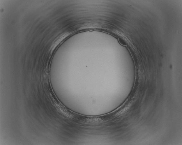 X0000072951129200608181359