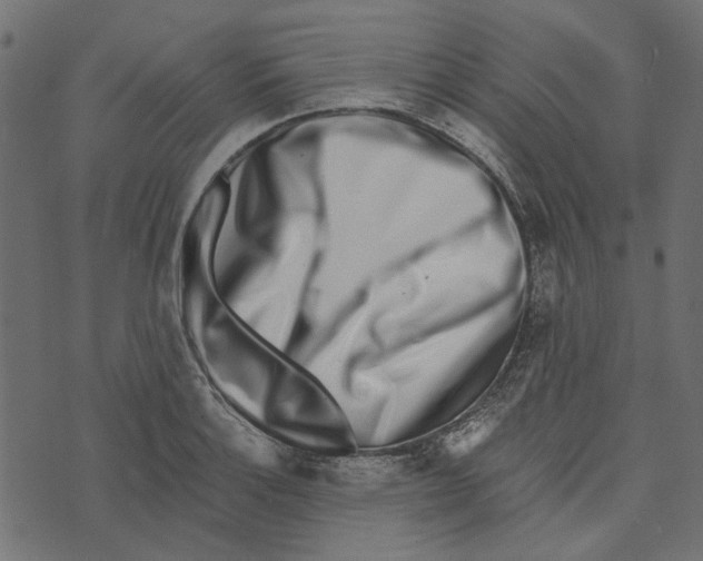 X0000072951132200608181359