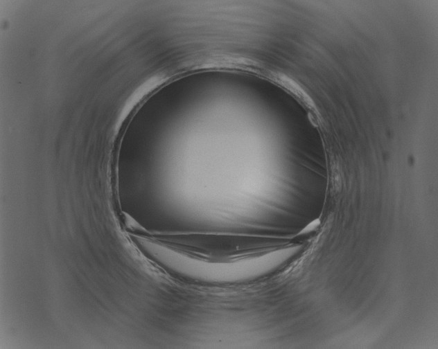 X0000072951138200608181359