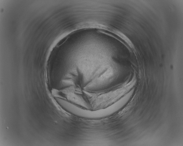 X0000072951144200608181400