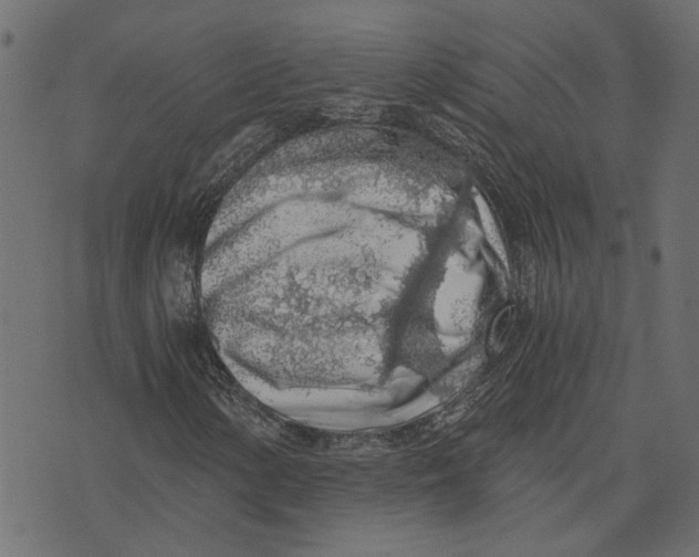 X0000072951154200608181359