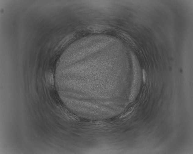 X0000072951155200608181359