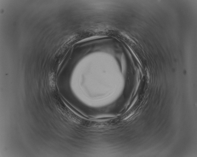 X0000072951156200608181359