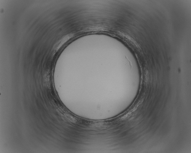 X0000072951162200608181359