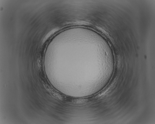X0000072951163200608181359