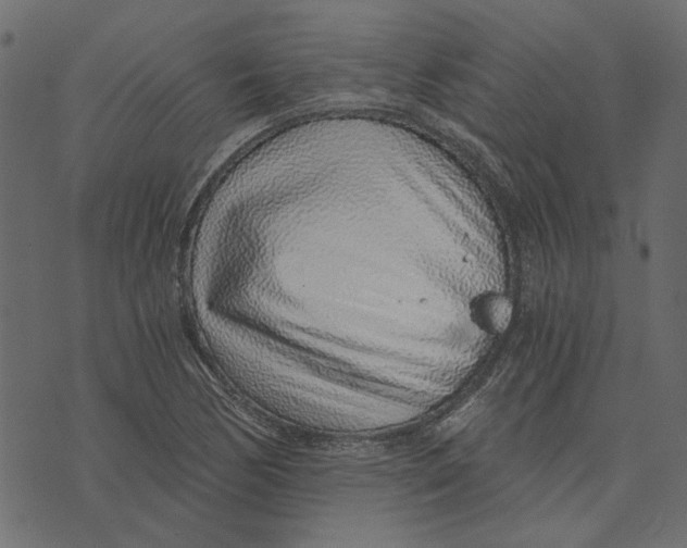 X0000072951170200608181359