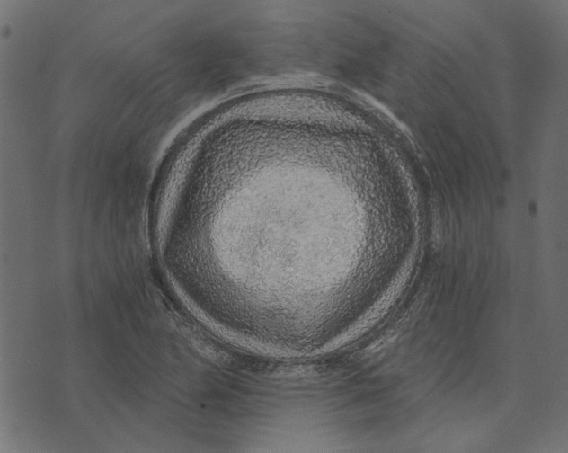 X0000072951174200608181359