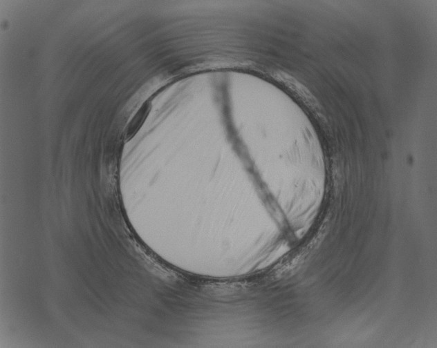 X0000072951185200608181358