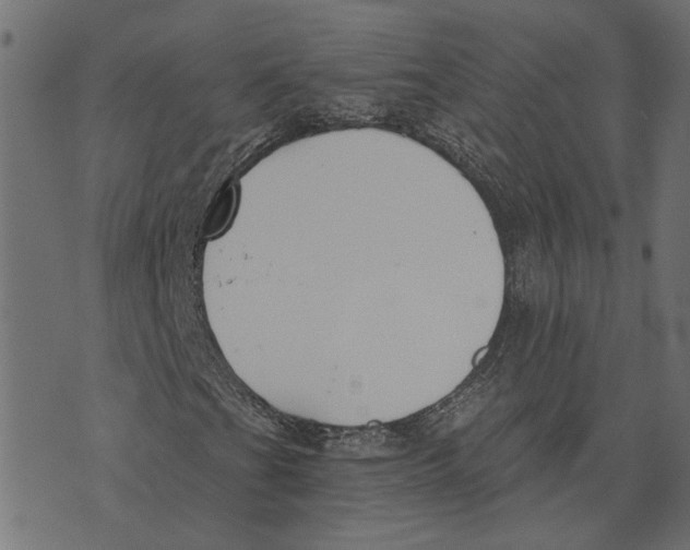 X0000072951201200608181357