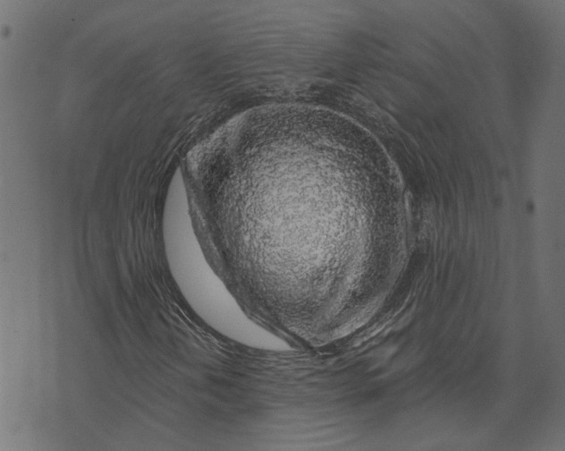 X0000072951202200608181357