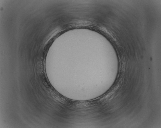 X0000072951211200608181357