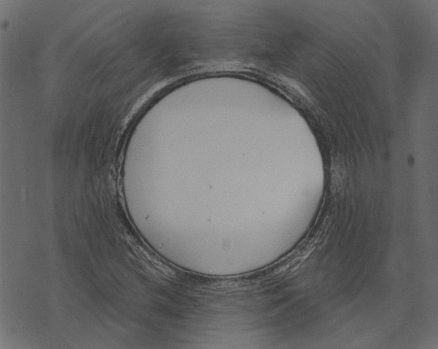X0000072951212200608181357