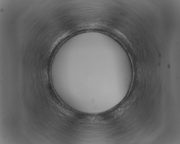 X0000072951218200608181357