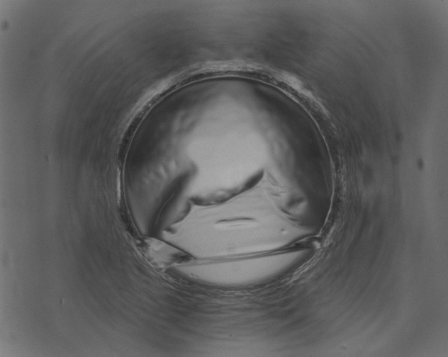 X0000072951221200608181358