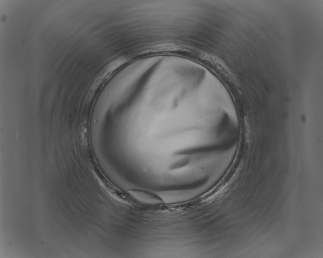 X0000072951225200608181358