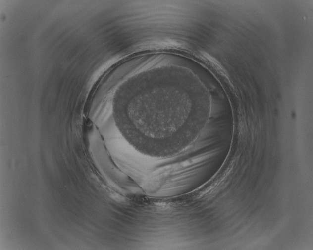 X0000072951226200608181358