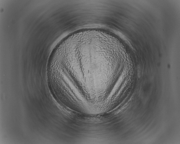 X0000072951229200608181358