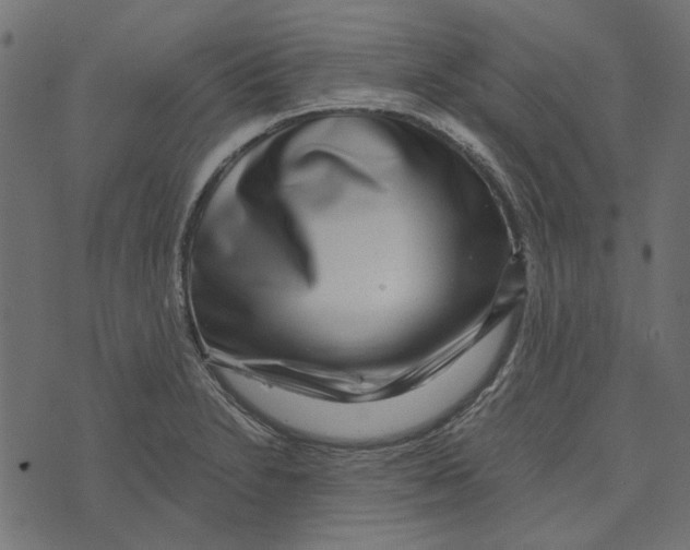 X0000072951230200608181358