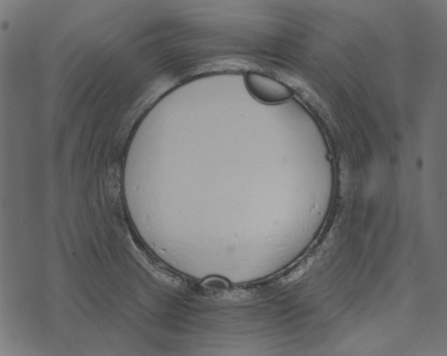X0000072951233200608181358