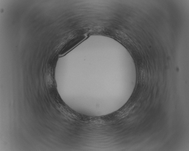 X0000072951250200608181357