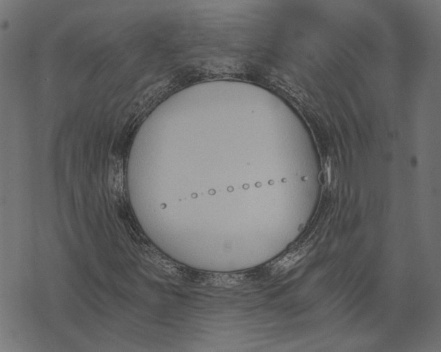 X0000072951251200608181357
