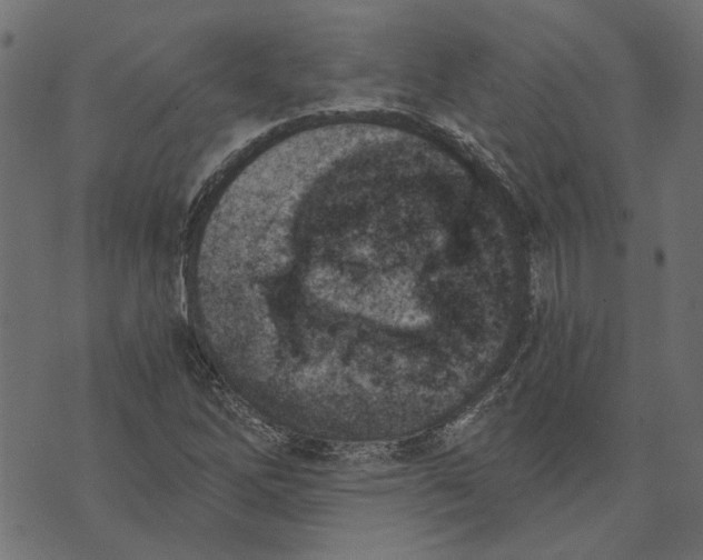 X0000072951262200608181357