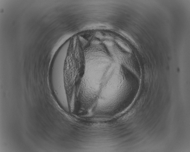 X0000072951277200608181357