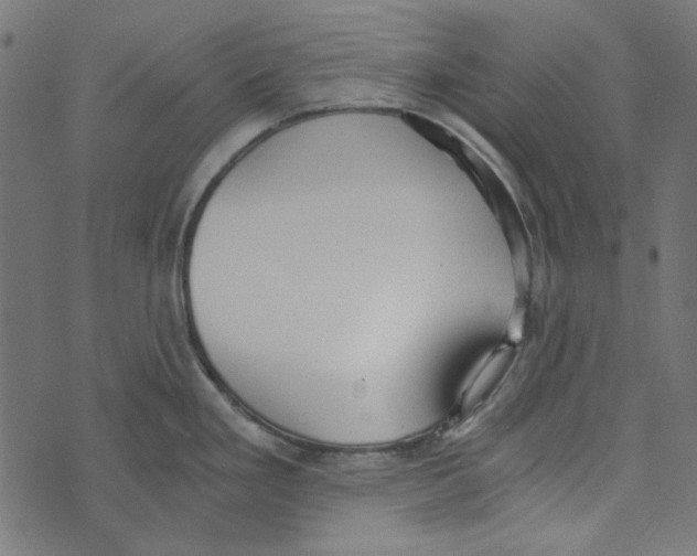 X0000072951293200608181356