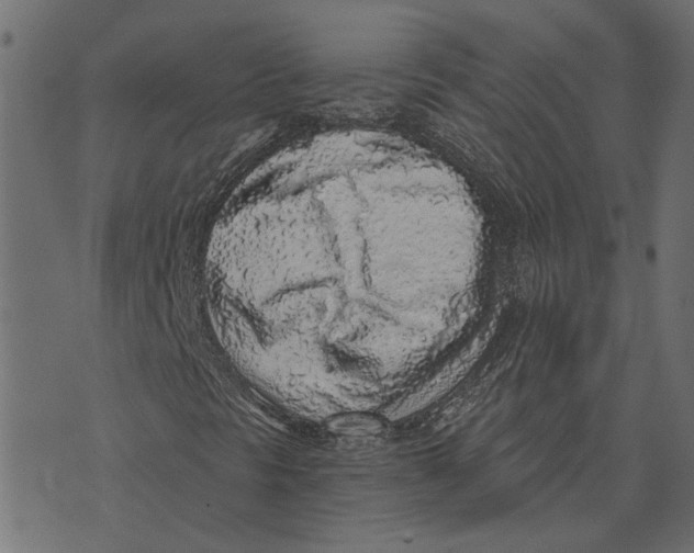 X0000072951297200608181356