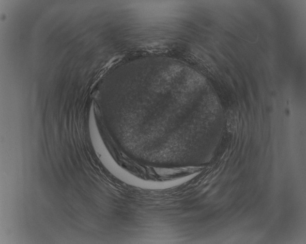 X0000072951298200608181356