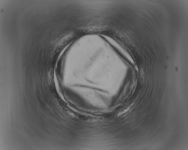 X0000072951300200608181356