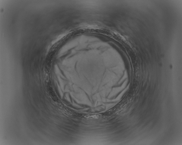 X0000072951303200608181356