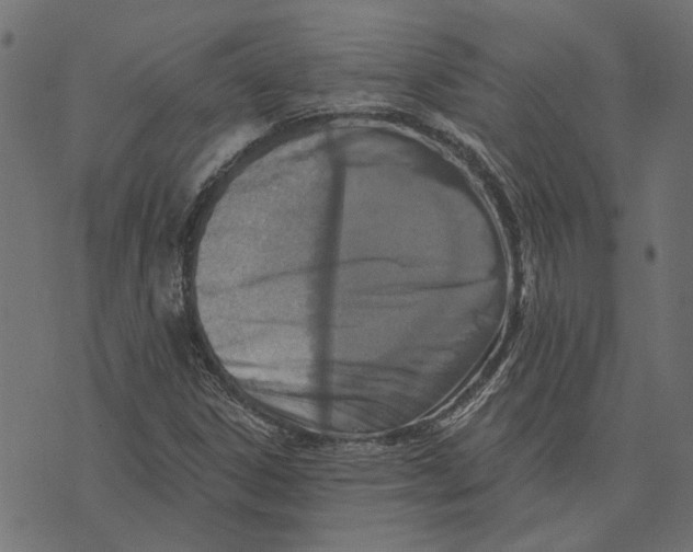 X0000072951306200608181356
