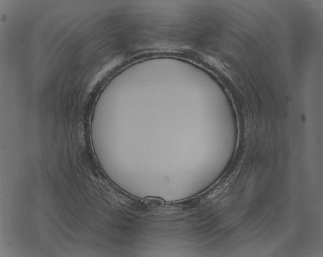 X0000072951307200608181356
