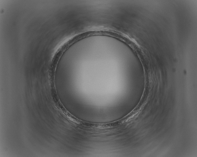 X0000072951311200608181356